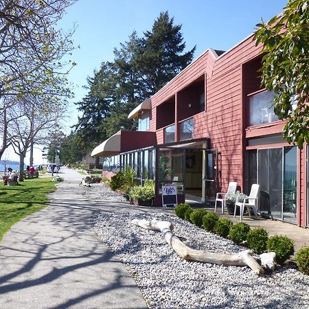 Driftwood Inn シーシェルト エクステリア 写真